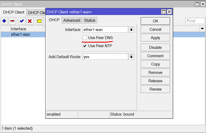 DNS1